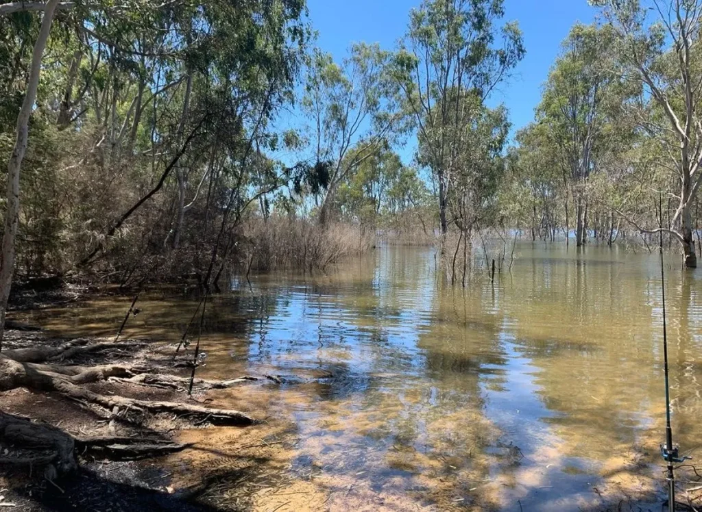 Lake Eildon