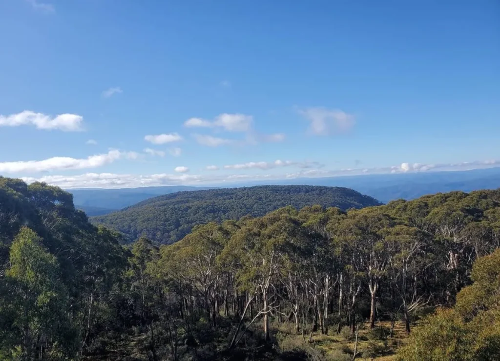 Mount Donna Buang