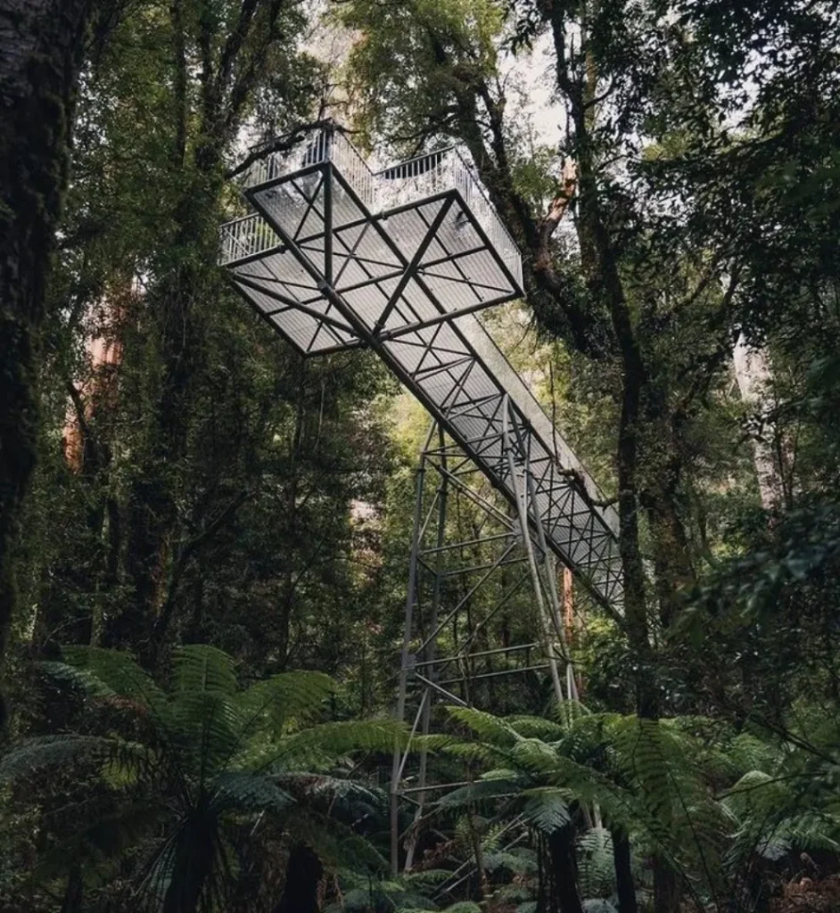 Yarra Ranges National Park