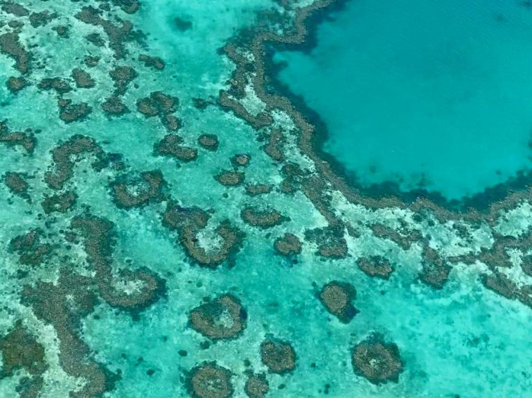 Take a Scenic Flight Over the Reef: Get a bird’s-eye view of the reef on a scenic flight.