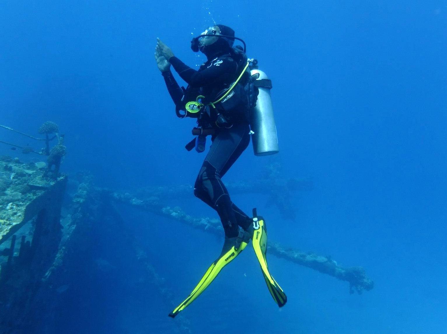 Scuba Dive at Navy Pier: Dive into the underwater world at Navy Pier.