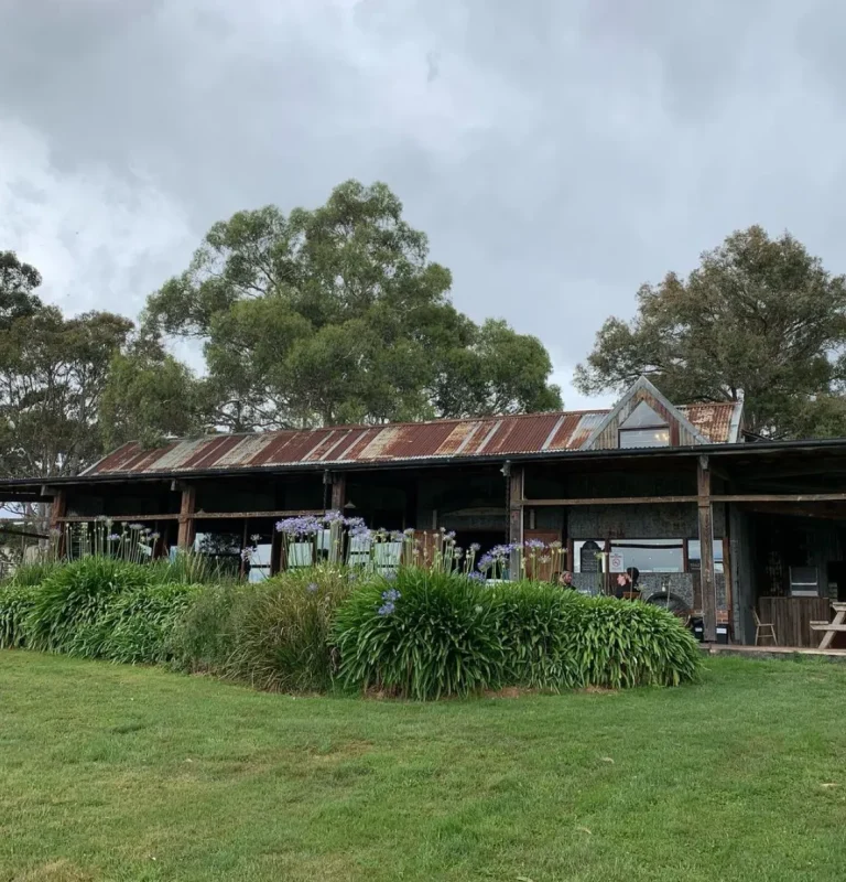 Exploring Boutique Wineries in Yarra Valley