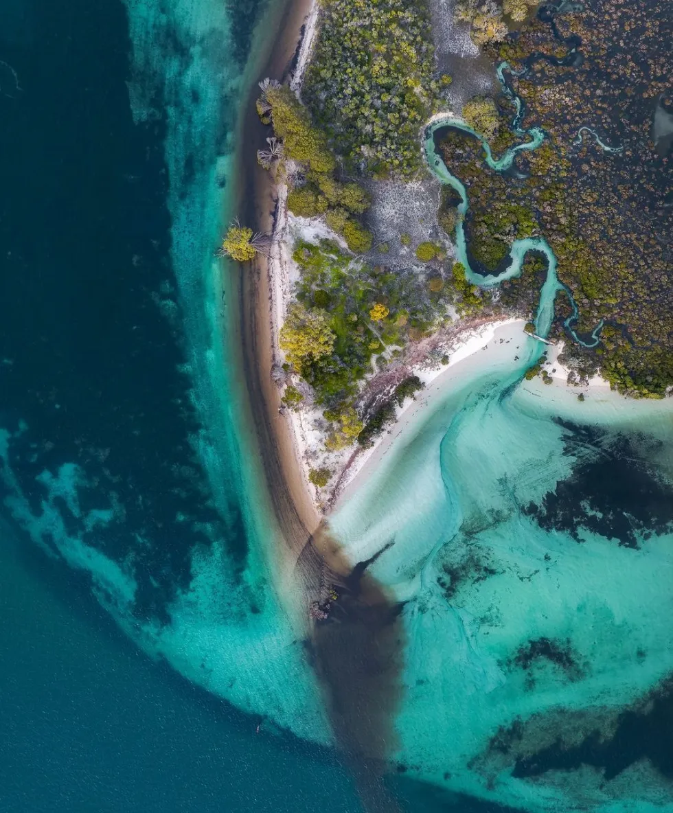 Visiting the Hanson Bay Wildlife Sanctuary: Kangaroo Island’s Best-Kept Secret