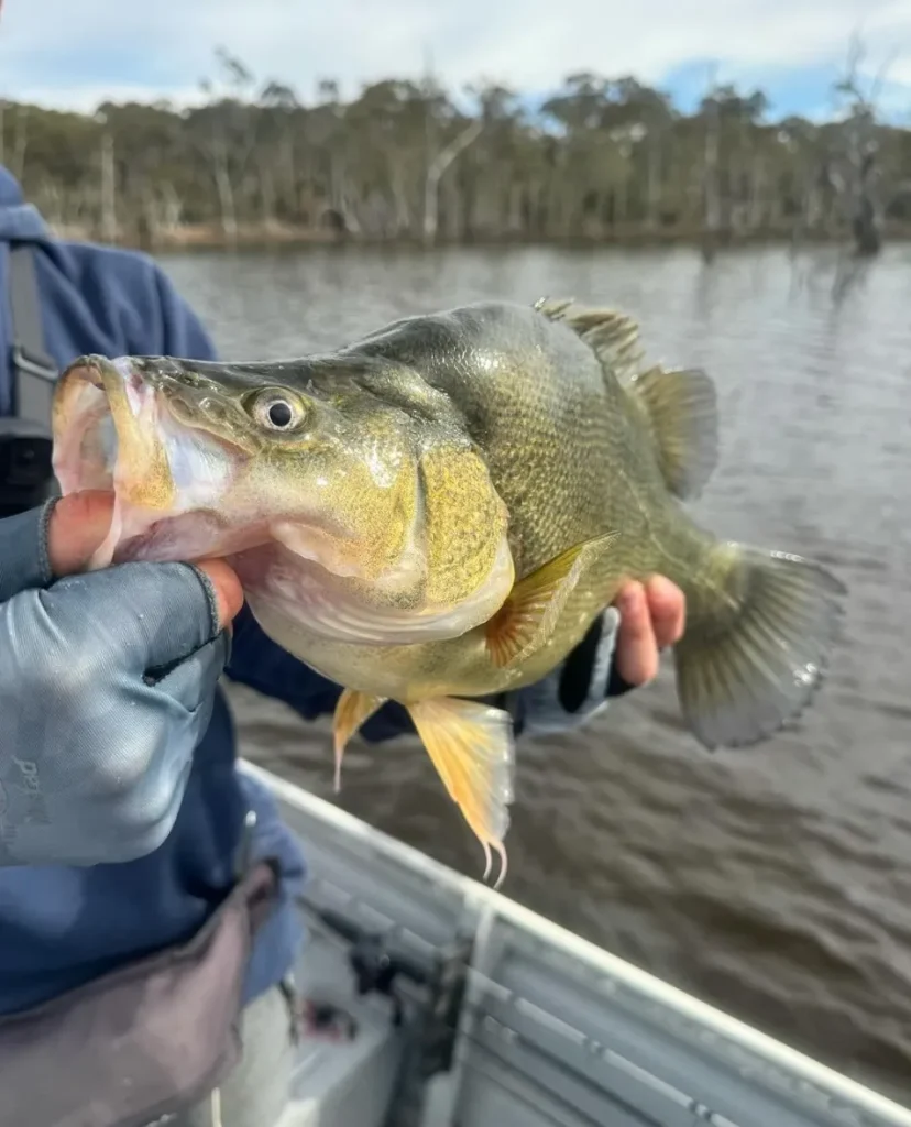 Rocklands Reservoir