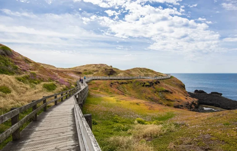 Do You Have to Pay for Phillip Island? Costs & Free Spots