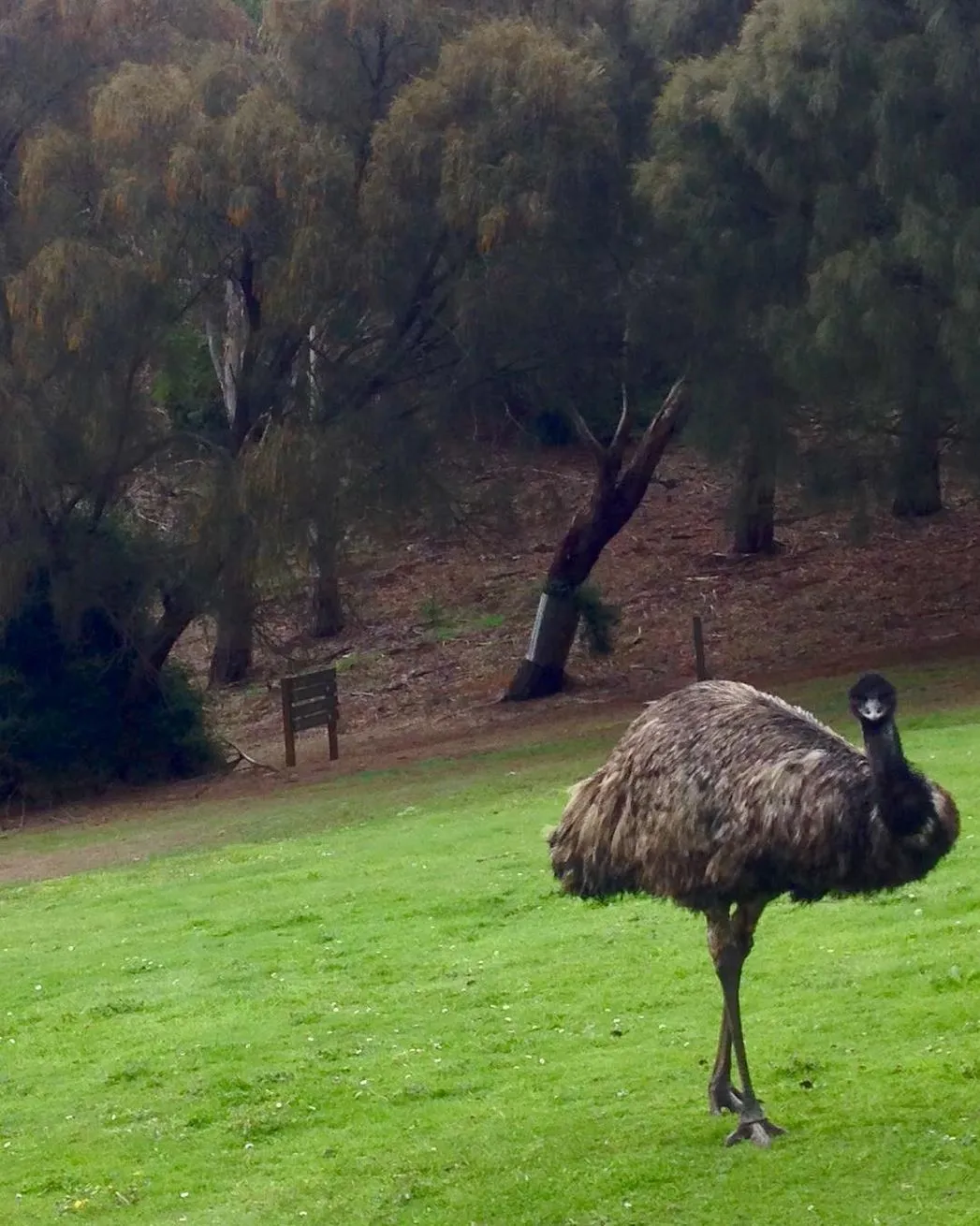 Tower Hill Wildlife Reserve