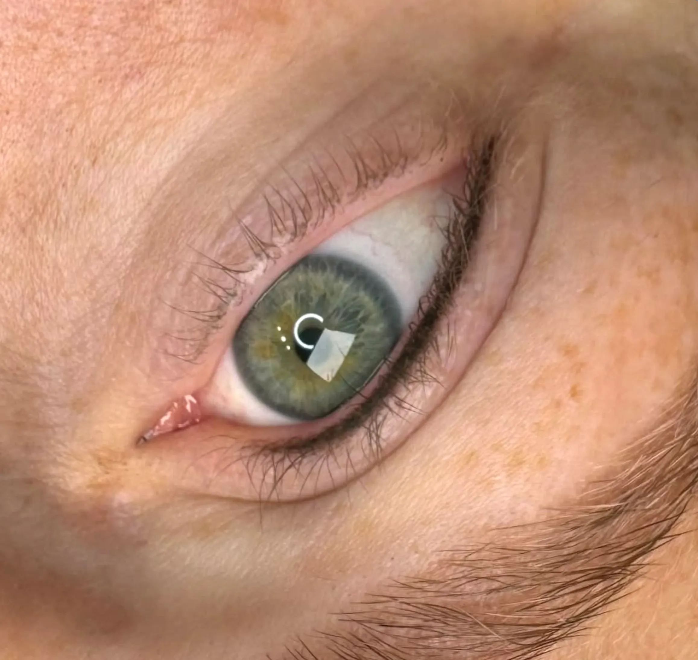 coloured lash extensions