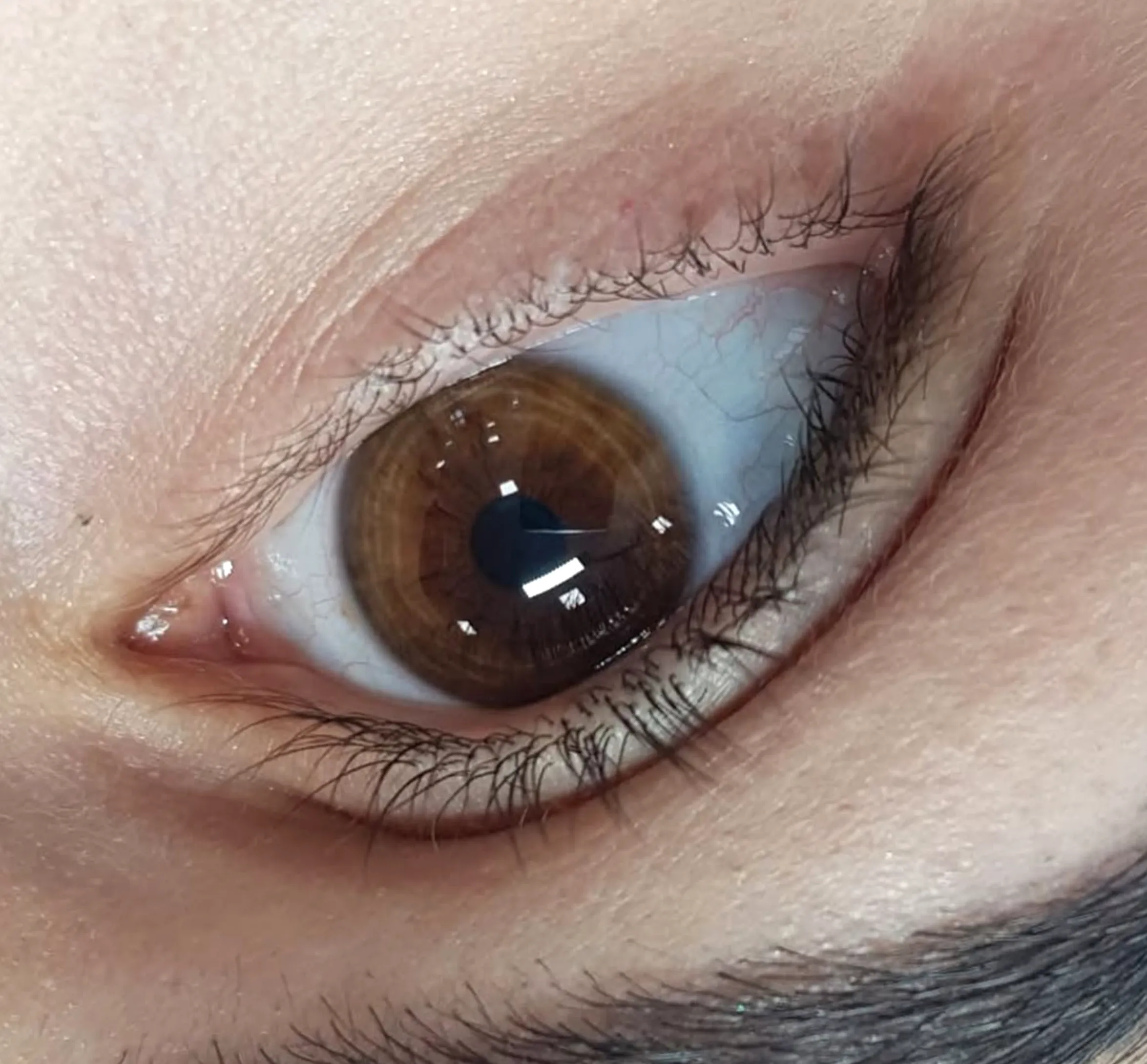 Melbourne lash extensions