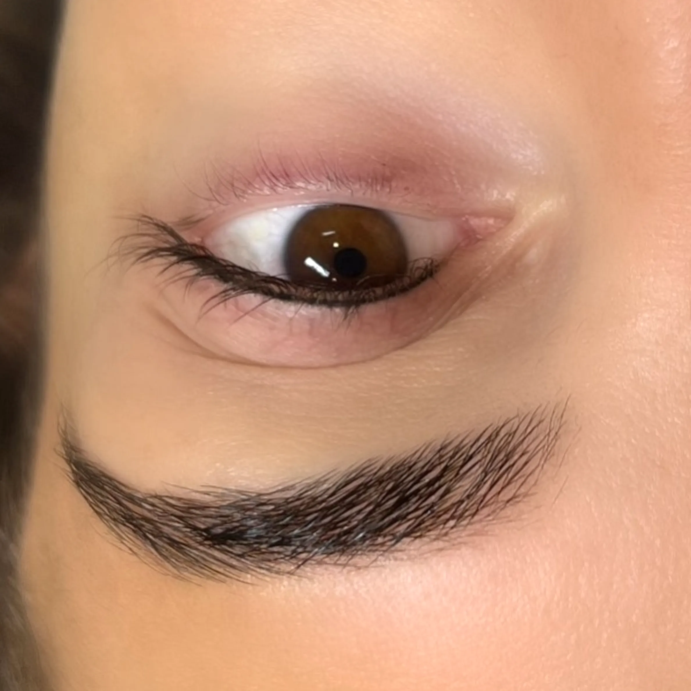 What Are the Lash Extension Trends in Australia for 2025?