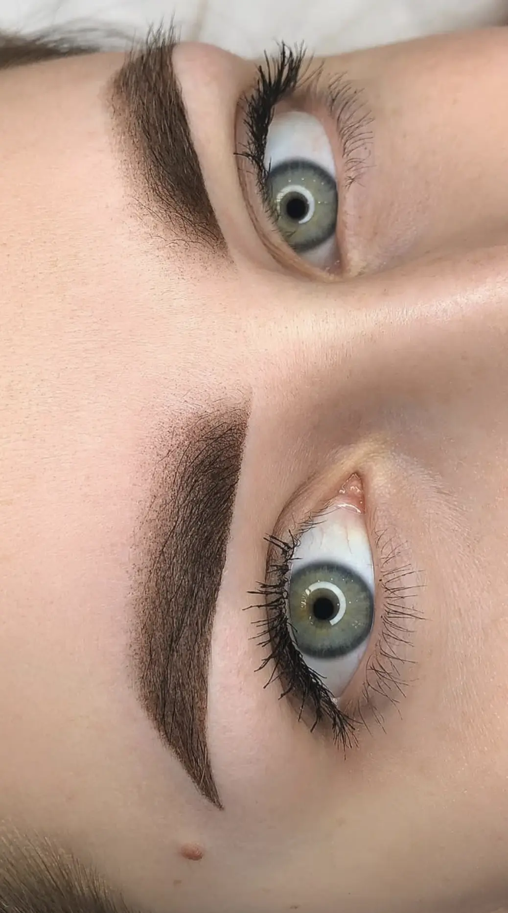 ombre brows healing stages pictures