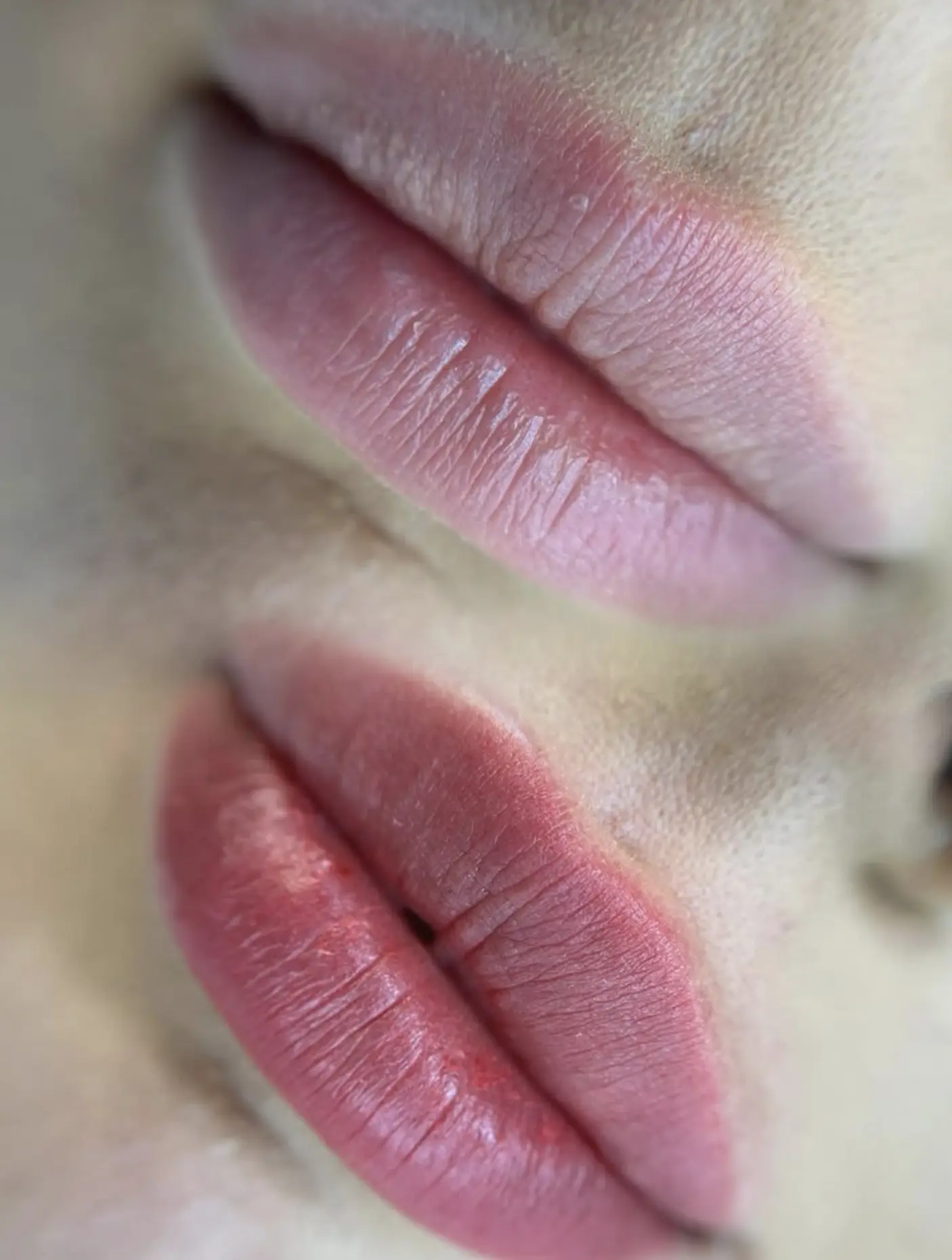 eyebrow tattoo course adelaide